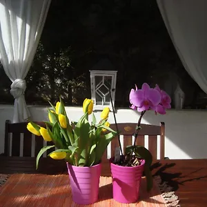Ii Apartment